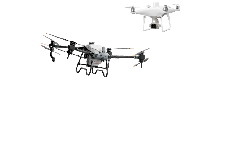 DJI