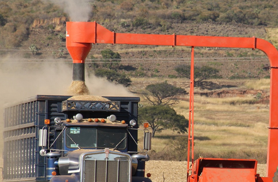Molino naranja agrícola descargando