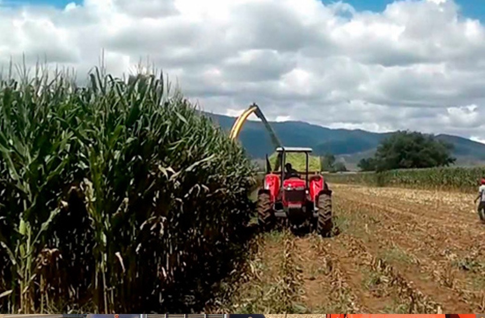 tractor con implemento de terramak en el campo